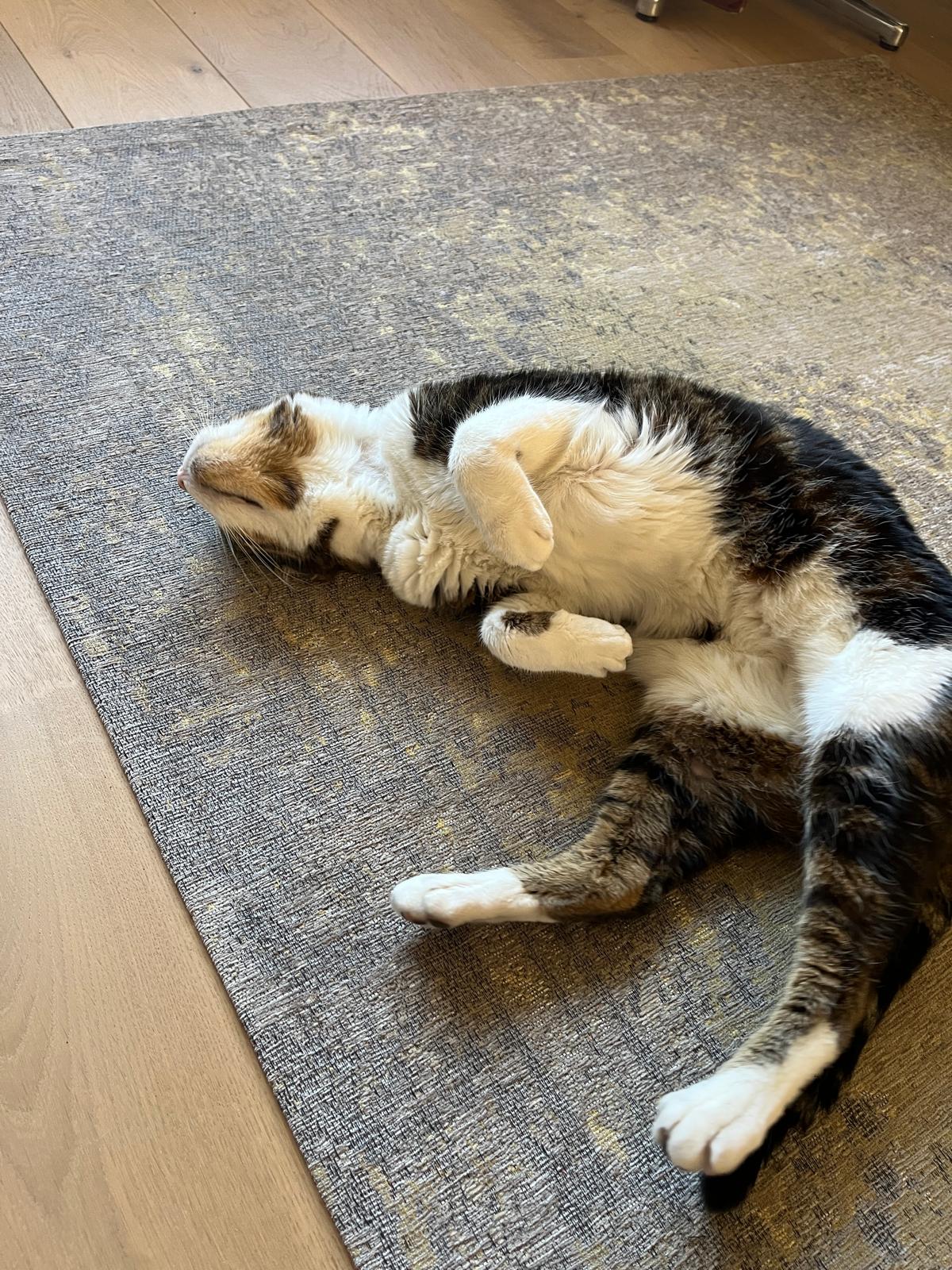 PHOTO-2025-03-15-08-57-18 11.JPG